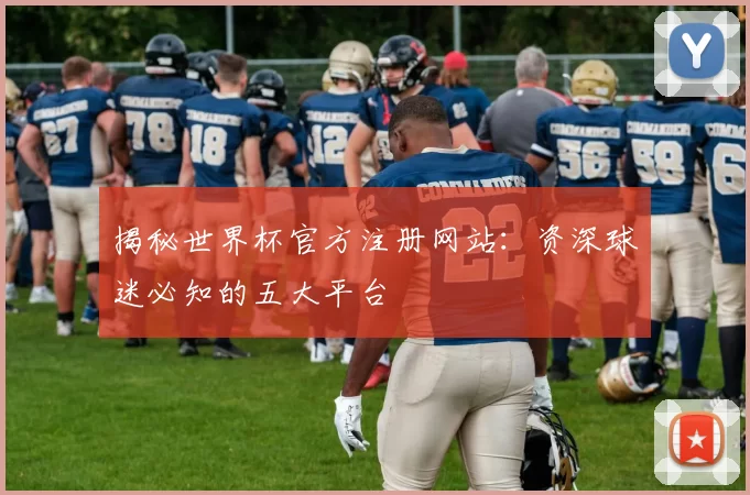 揭秘世界杯官方注册网站:资深球迷必知的五大平台