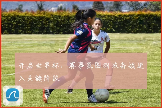 开启世界杯,赛事氛围渐浓备战进入关键阶段