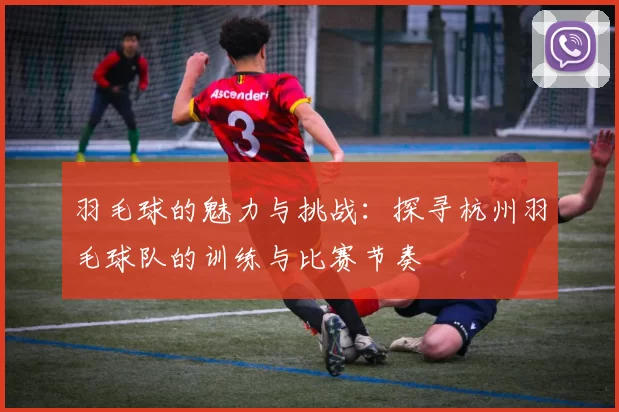羽毛球的魅力与挑战:探寻杭州羽毛球队的训练与比赛节奏