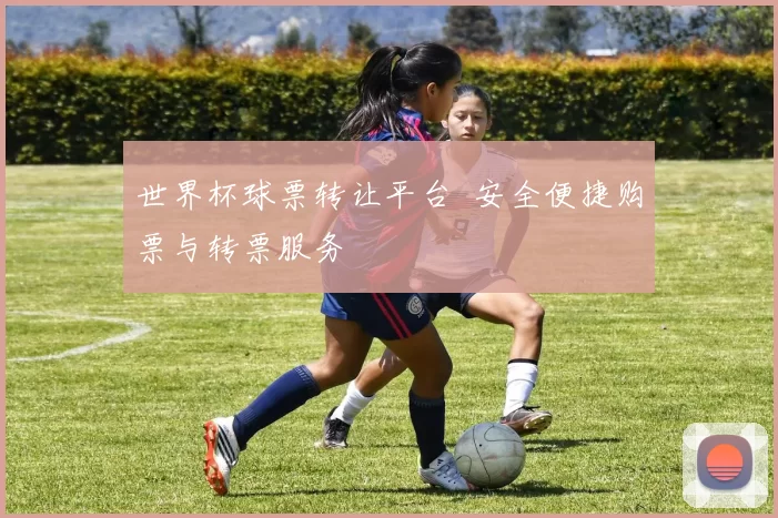 世界杯球票转让平台 安全便捷购票与转票服务