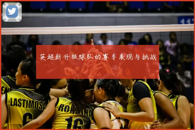 英超新升级球队的赛季表现与挑战