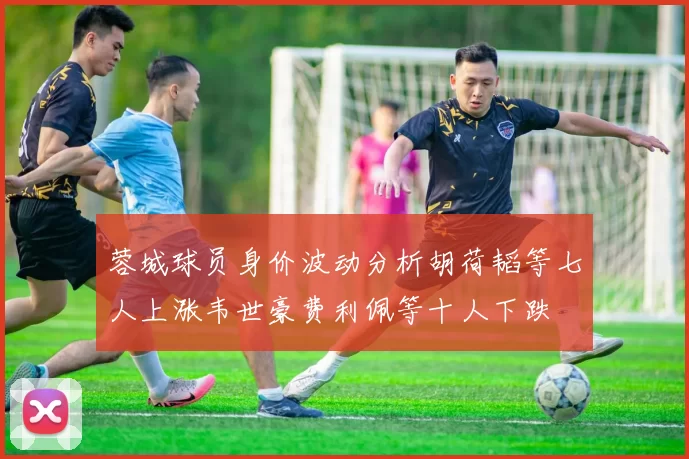 蓉城球员身价波动分析胡荷韬等七人上涨韦世豪费利佩等十人下跌