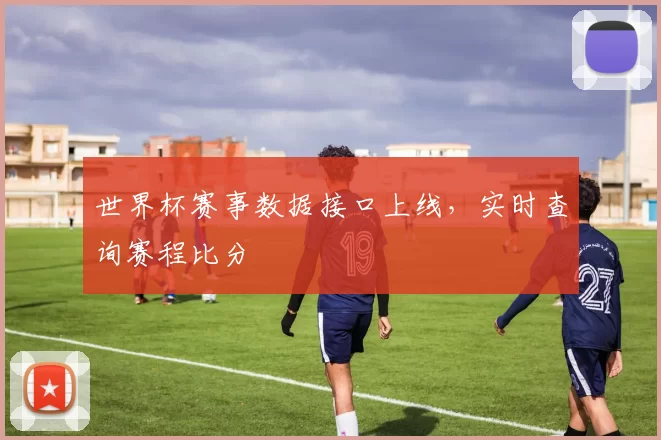 世界杯赛事数据接口上线,实时查询赛程比分