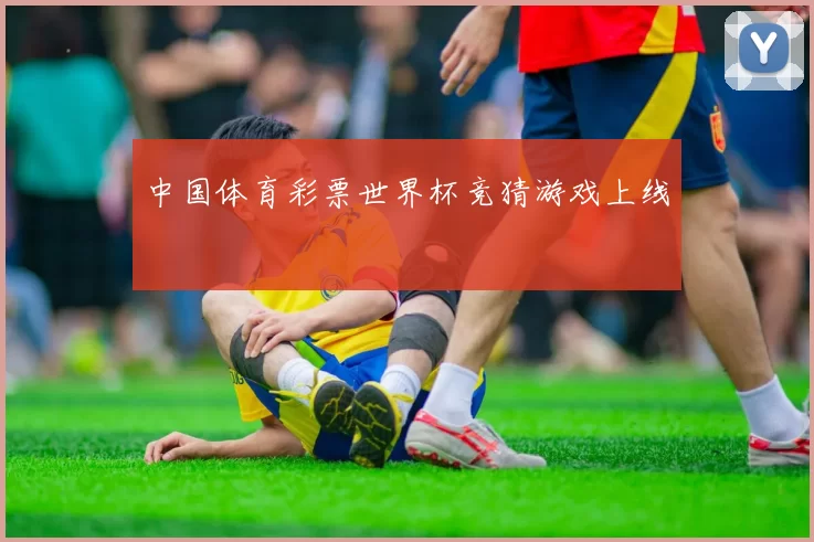 中国体育彩票世界杯竞猜游戏上线