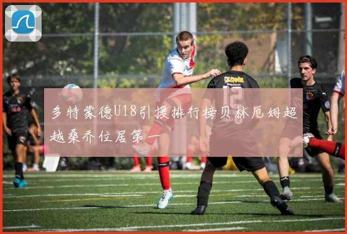 多特蒙德U18引援排行榜贝林厄姆超越桑乔位居第一