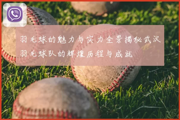 羽毛球的魅力与实力全景揭秘武汉羽毛球队的辉煌历程与成就