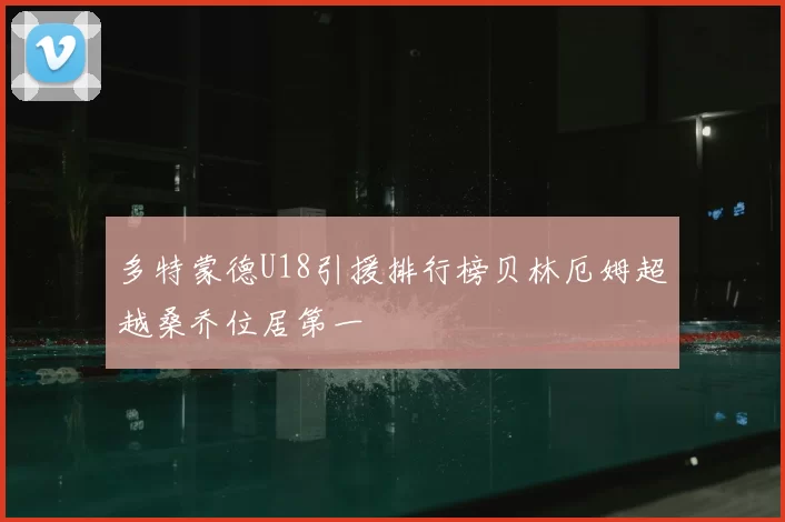 多特蒙德U18引援排行榜贝林厄姆超越桑乔位居第一