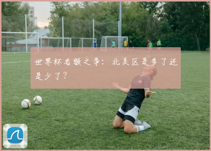 世界杯名额之争：北美区是多了还是少了？