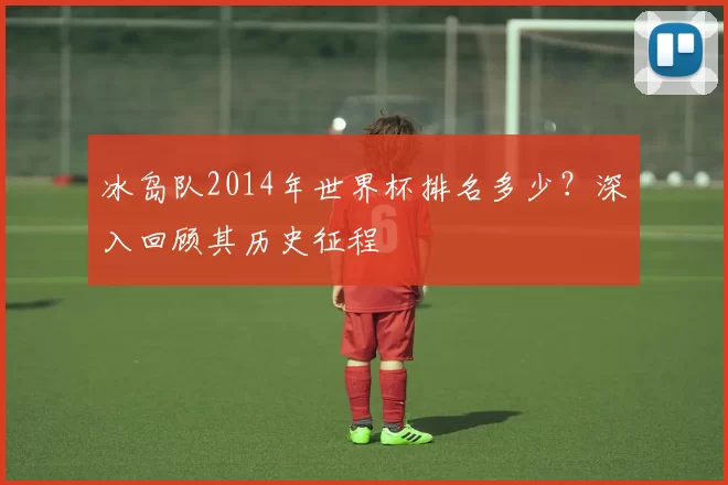 冰岛队2014年世界杯排名多少？深入回顾其历史征程
