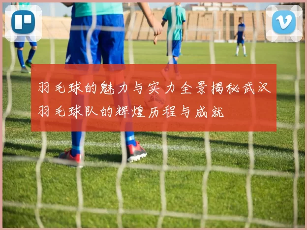 羽毛球的魅力与实力全景揭秘武汉羽毛球队的辉煌历程与成就