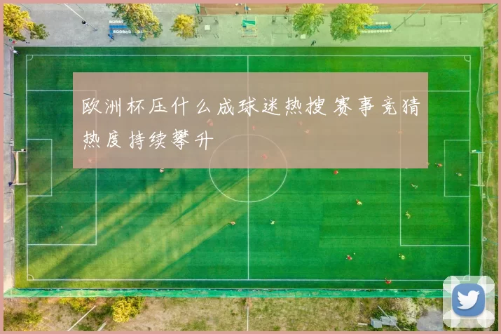 欧洲杯压什么成球迷热搜 赛事竞猜热度持续攀升