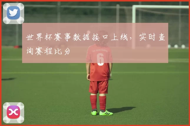 世界杯赛事数据接口上线,实时查询赛程比分