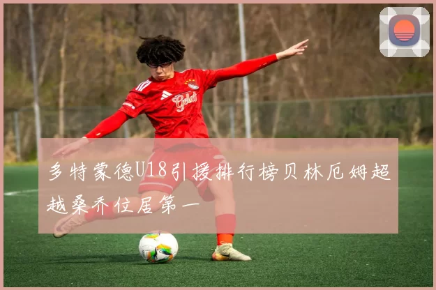多特蒙德U18引援排行榜贝林厄姆超越桑乔位居第一