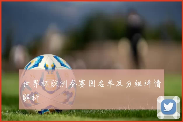 世界杯欧洲参赛国名单及分组详情解析