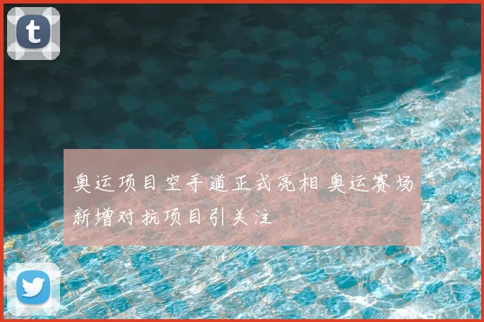 奥运项目空手道正式亮相 奥运赛场新增对抗项目引关注