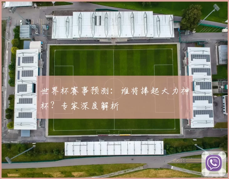 世界杯赛事预测：谁将捧起大力神杯？专家深度解析