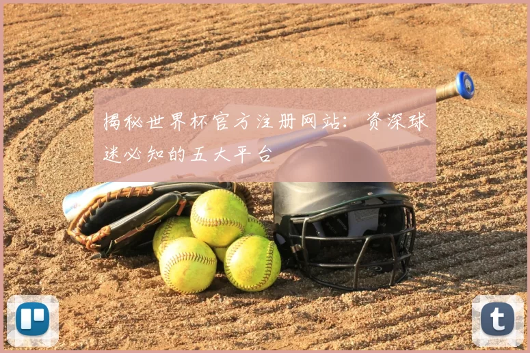 揭秘世界杯官方注册网站:资深球迷必知的五大平台